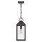 Quoizel Thorpe 1-Light Mottled Black Mini Pendant TPE1508MB - alternate 3
